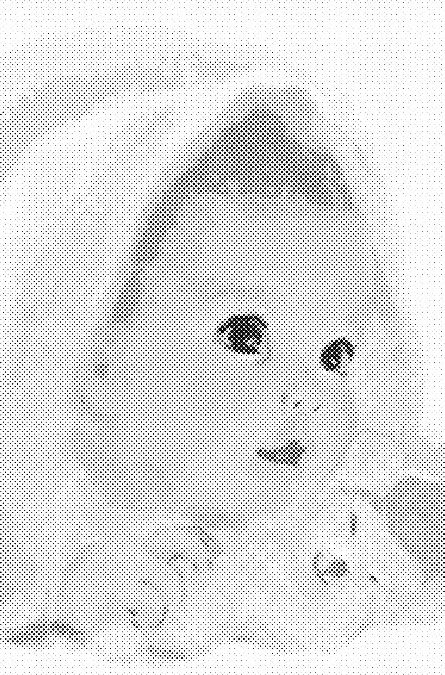 DOT Painting Portretten - Canvas (40x60cm, 50x75cm, 60x90cm)