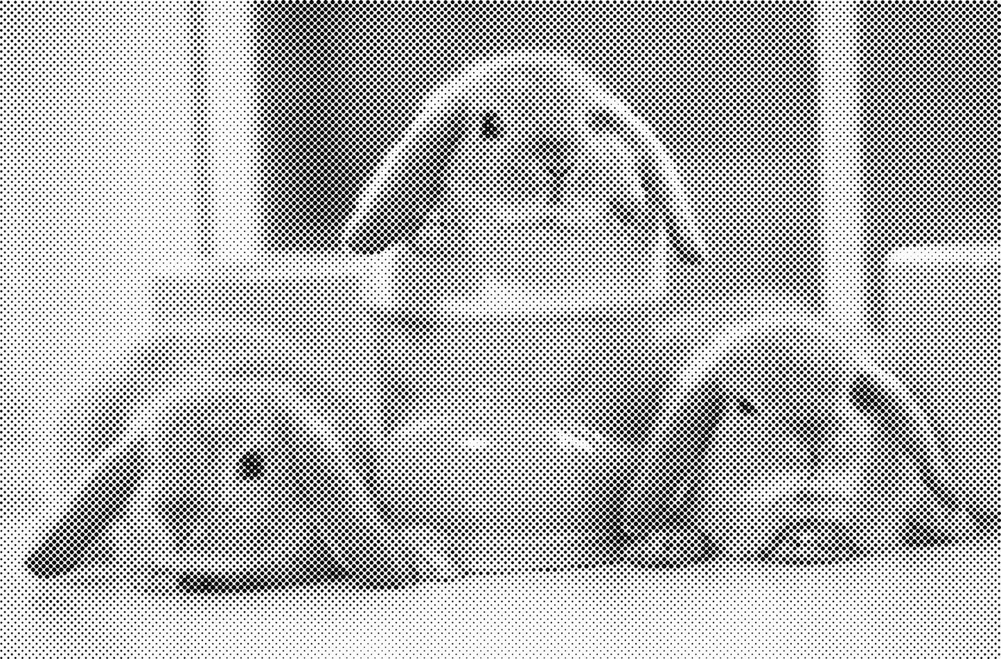 DOT Painting Dieren - Konijnen, Puppies en Katten - Verkrijgbaar in 40x60cm, 50x75cm en 60x90cm