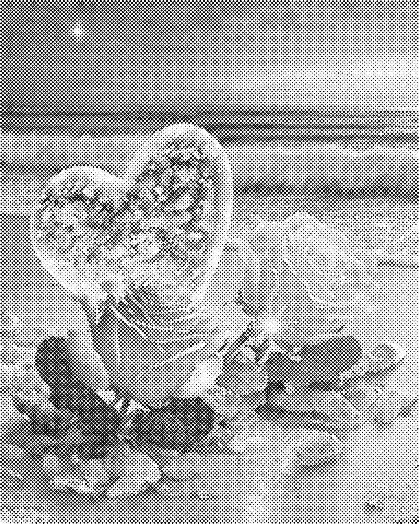 DOT Painting 40x50cm - Bloemen en Planten in Één Kleur