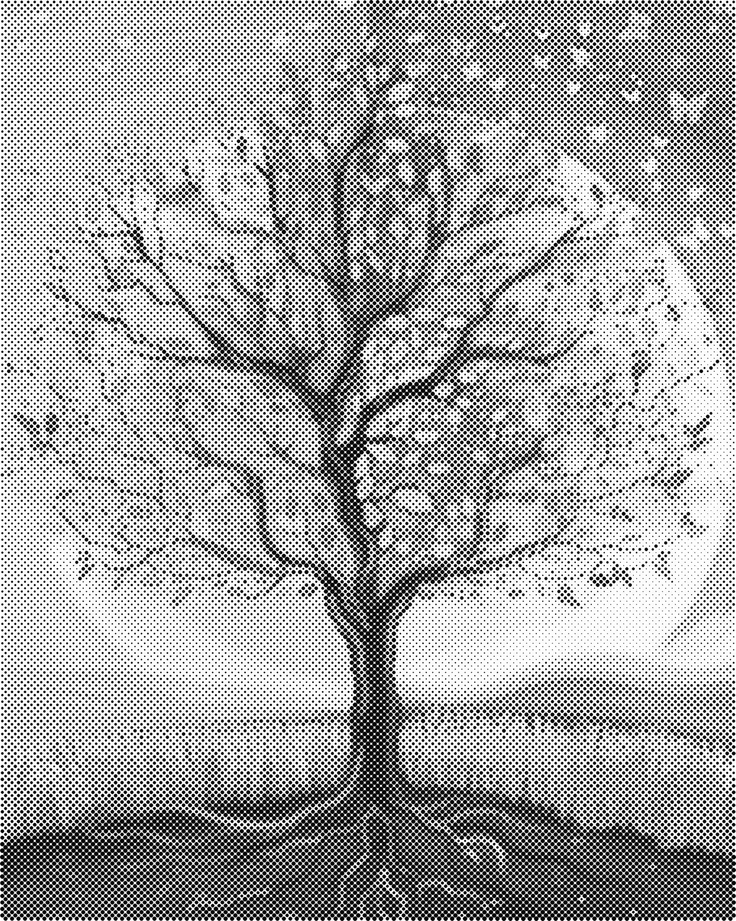 DOT Painting 40x50cm - Bloemen en Planten in Één Kleur