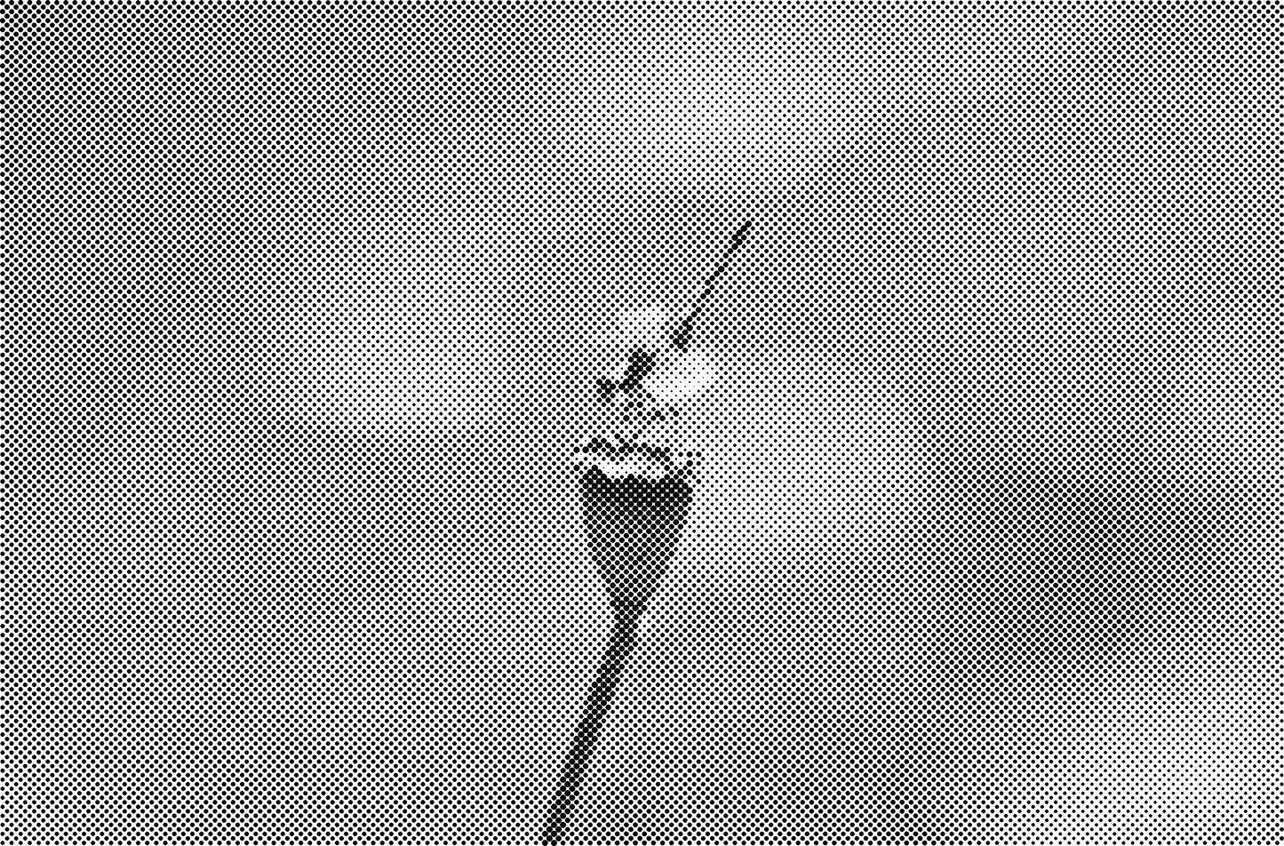 DOT Painting Honden, Eenden en Vogels - Verkrijgbaar in 40x60cm, 50x75cm, en 60x90cm