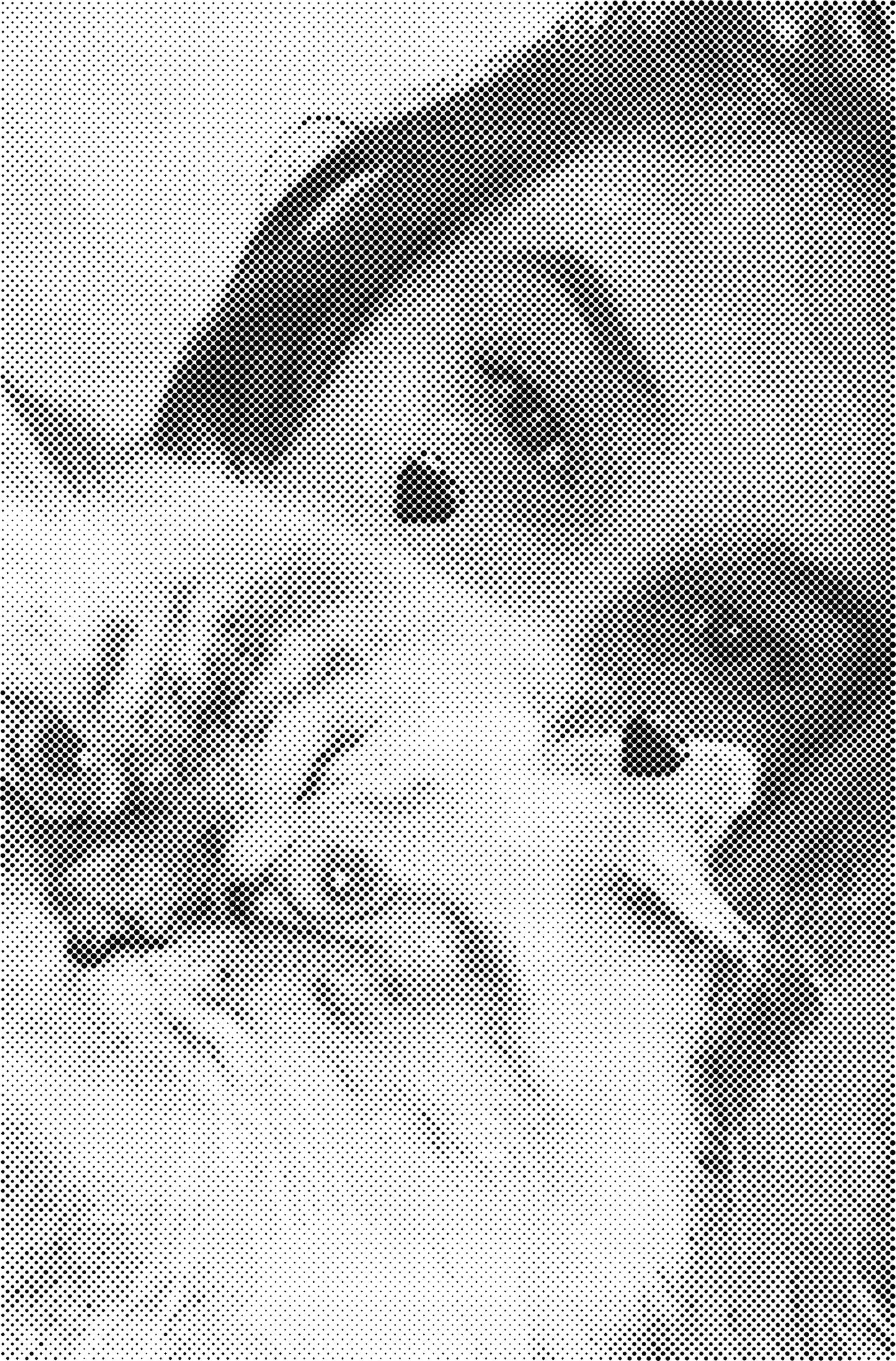 DOT Painting Portretten - Canvas (40x60cm, 50x75cm, 60x90cm)