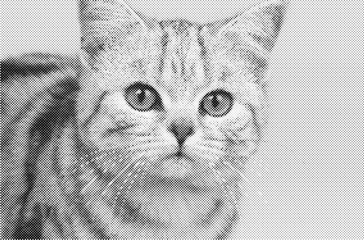 DOT Painting Kattenrassen