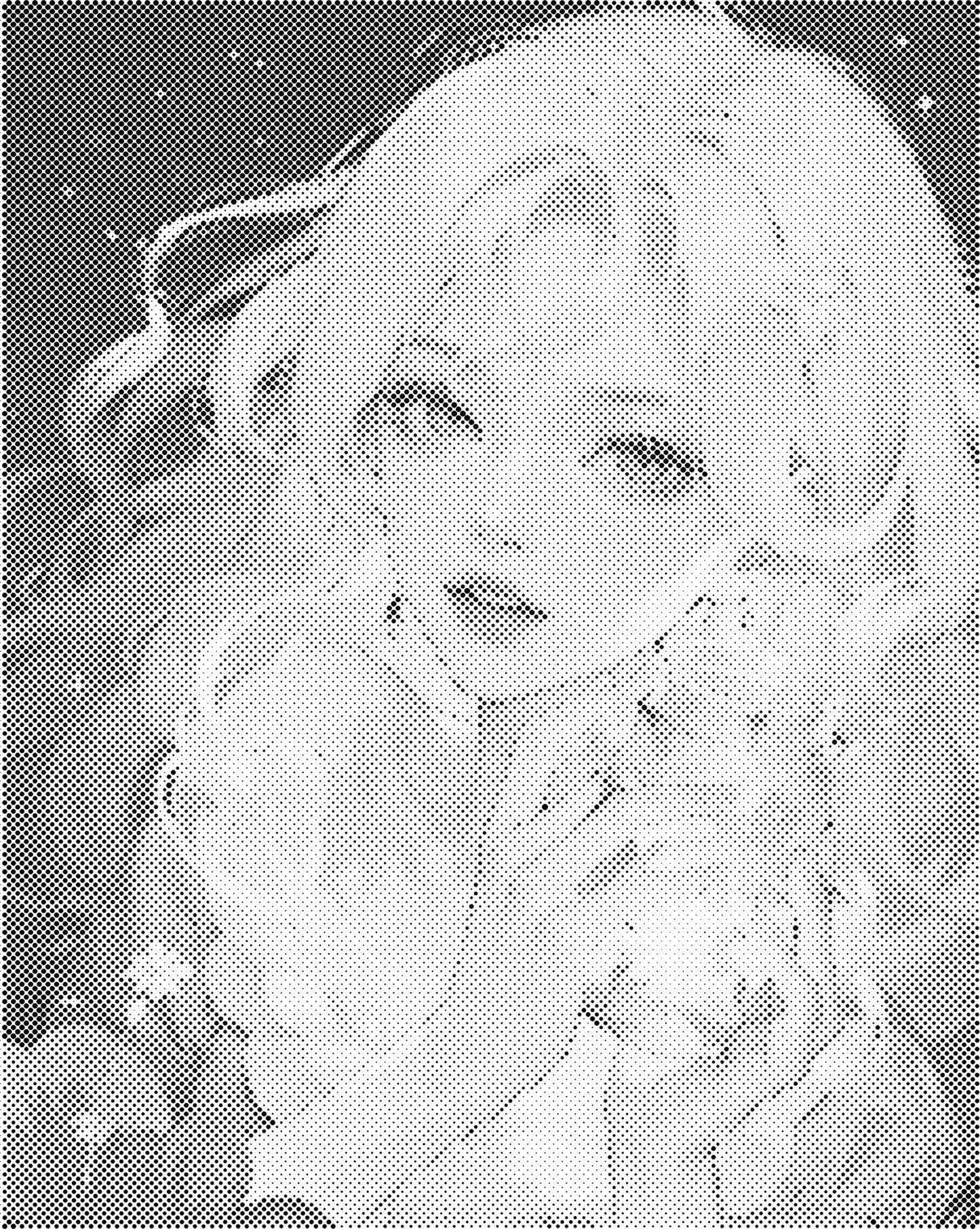 DOT Painting – Vrouwen | 40x50cm of 60x75cm