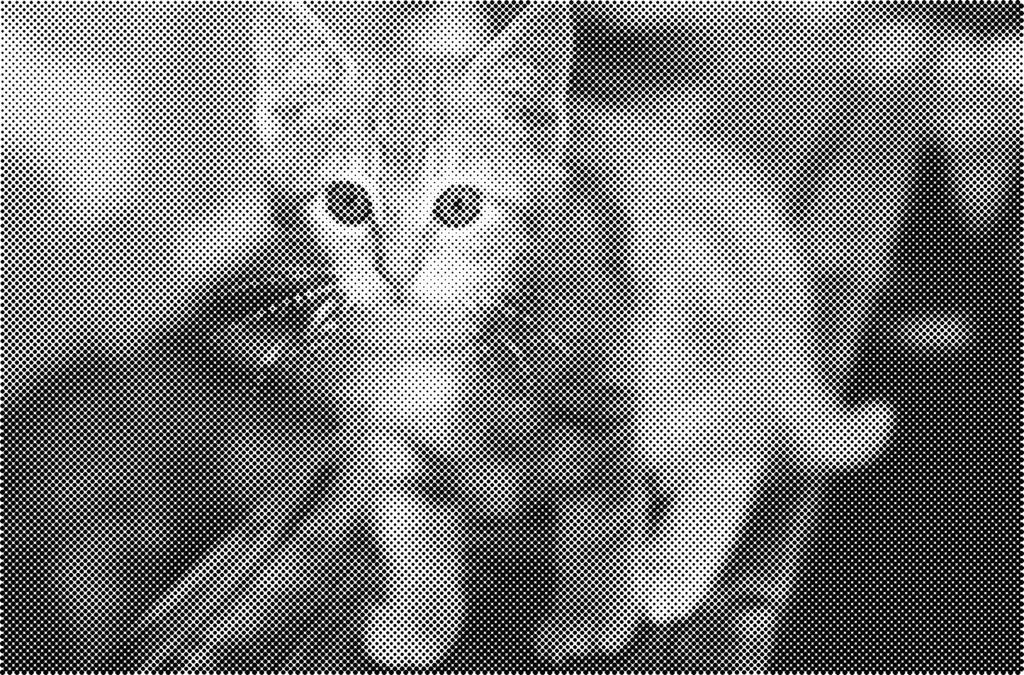 DOT Painting Dieren - Konijnen, Puppies en Katten - Verkrijgbaar in 40x60cm, 50x75cm en 60x90cm