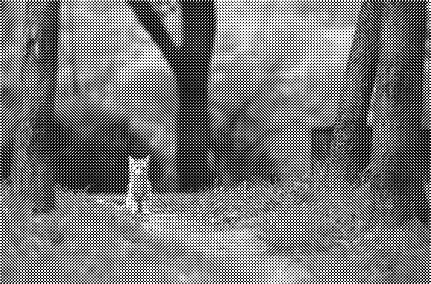 DOT Painting Kattenrassen