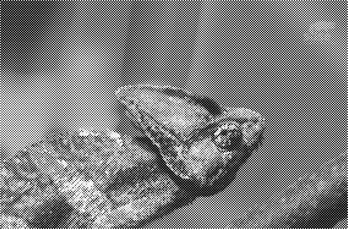 DOT Painting Katten - Verkrijgbaar in 40x60cm, 50x75cm en 60x90cm