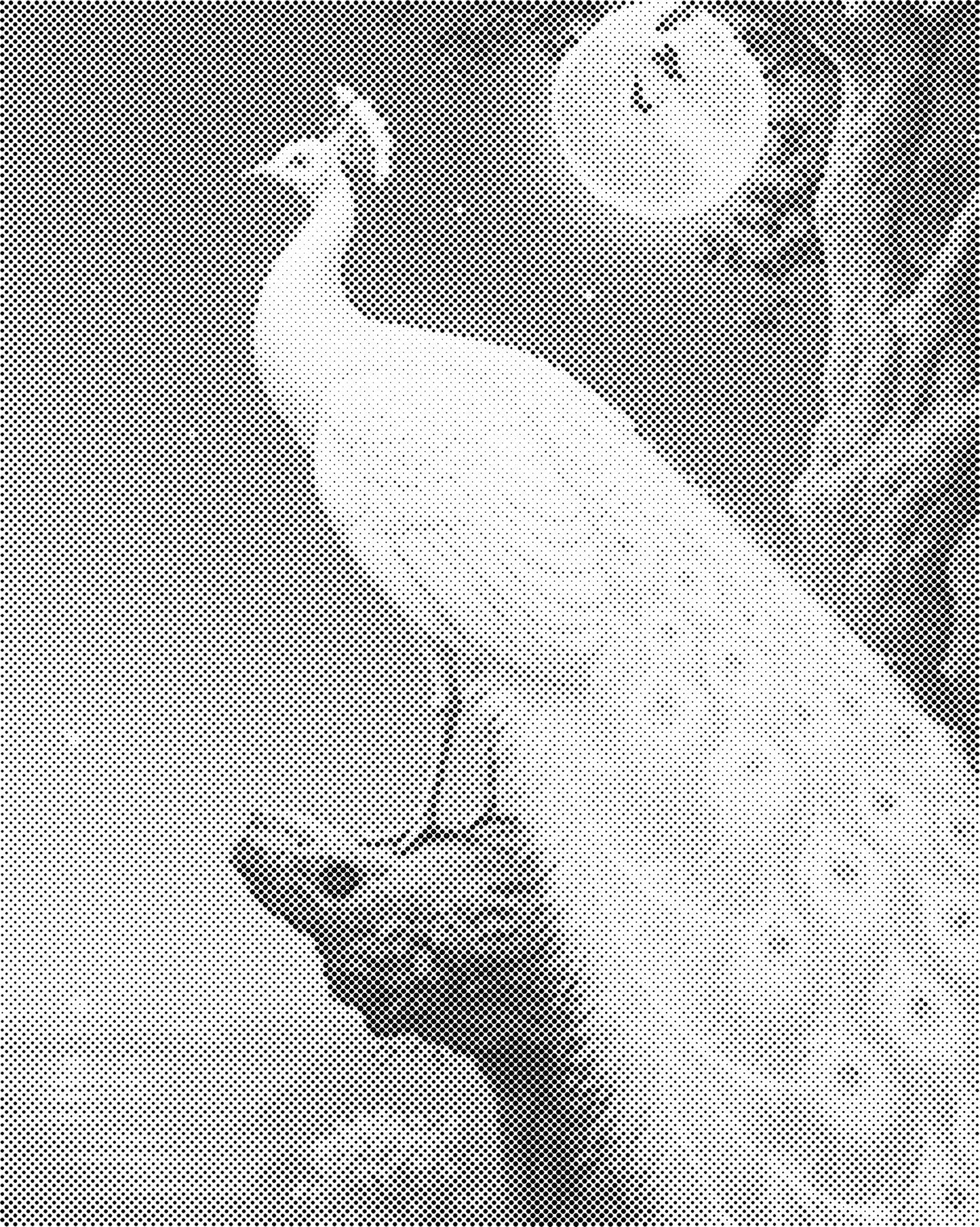 DOT Painting – Dieren op Canvas (40x50cm of 60x75cm) – Met of zonder stiften