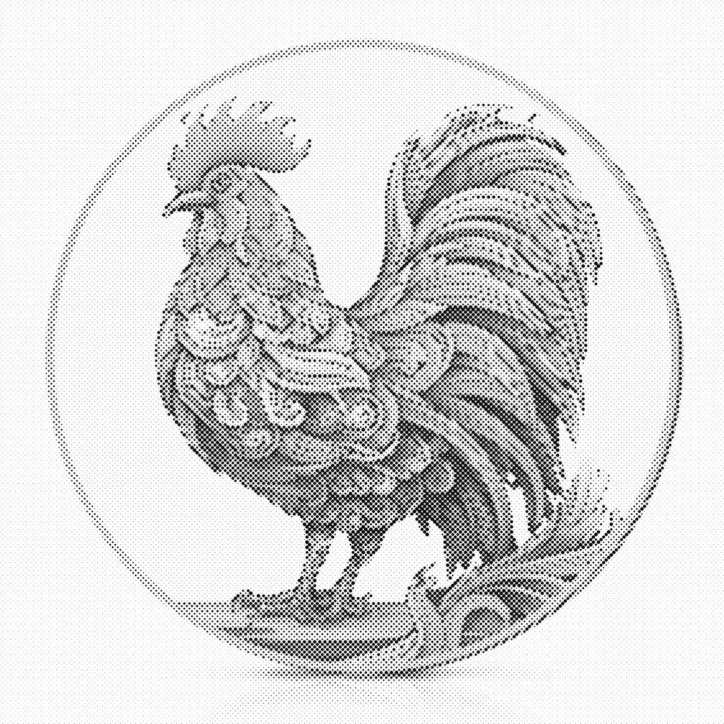 DOT Painting – Kippen & Hanen (40x40cm, 50x50cm of 60x60cm)