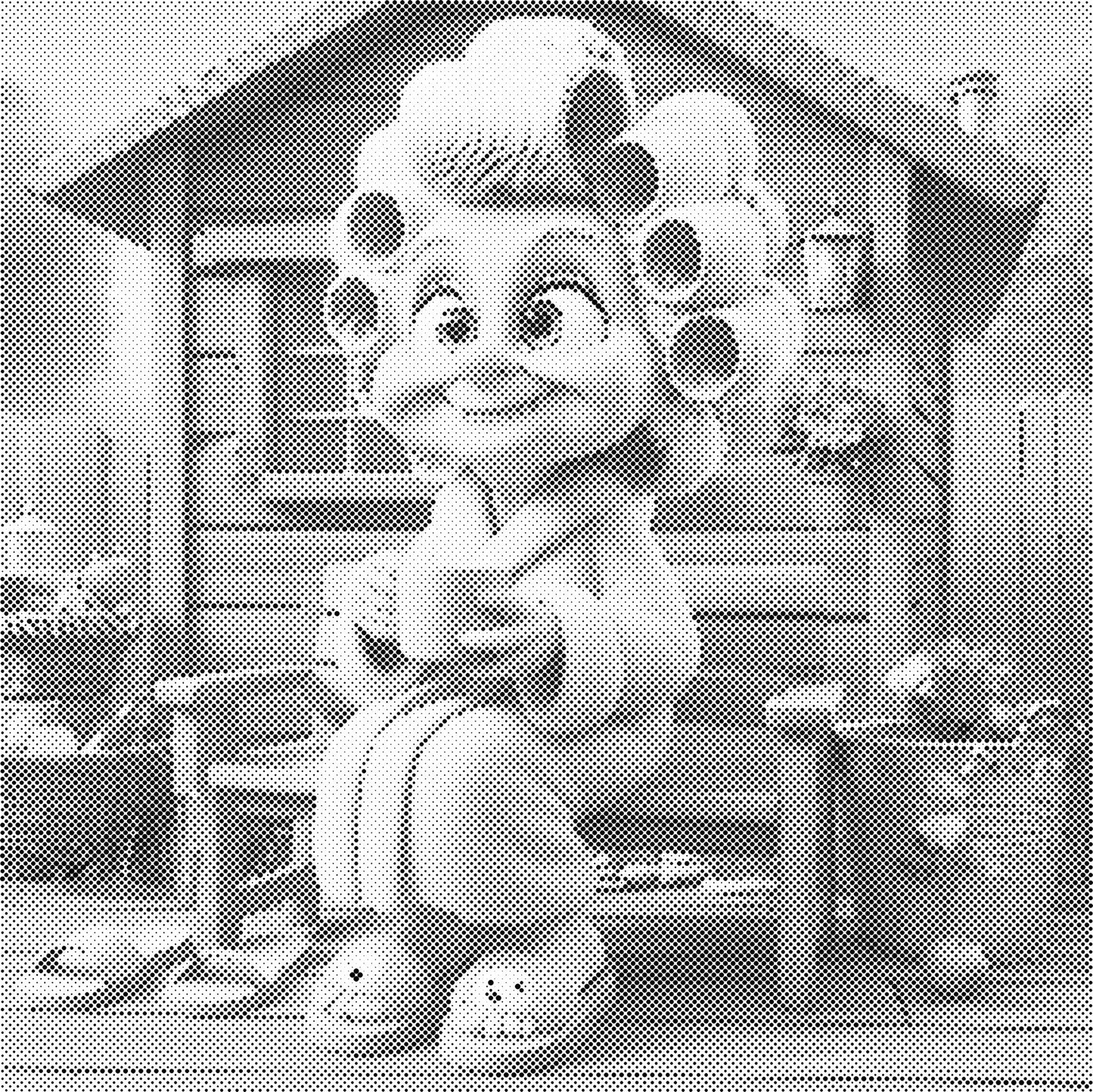 DOT Painting - Gekke Oma's (40x40cm t/m 60x60cm) – Met of zonder stiften