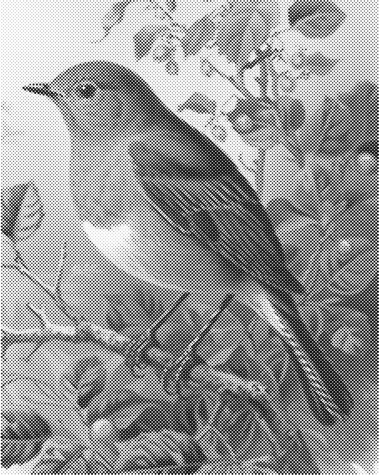 DOT Painting - Dieren op Canvas (40x50cm / 60x75cm)