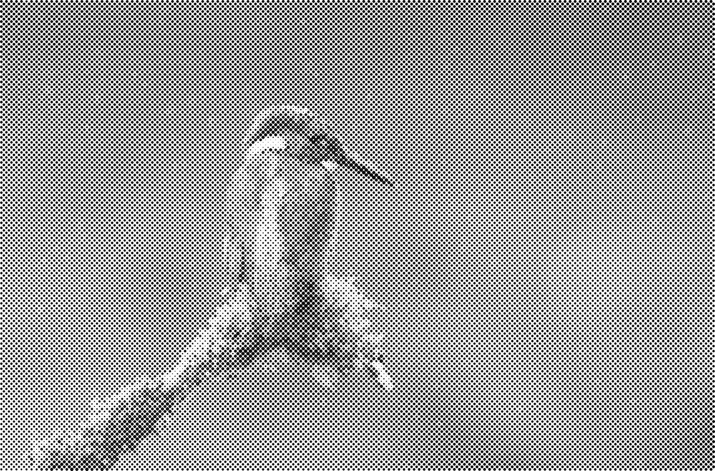 DOT Painting Big Cats - Leeuw, Tijger en Luipaard