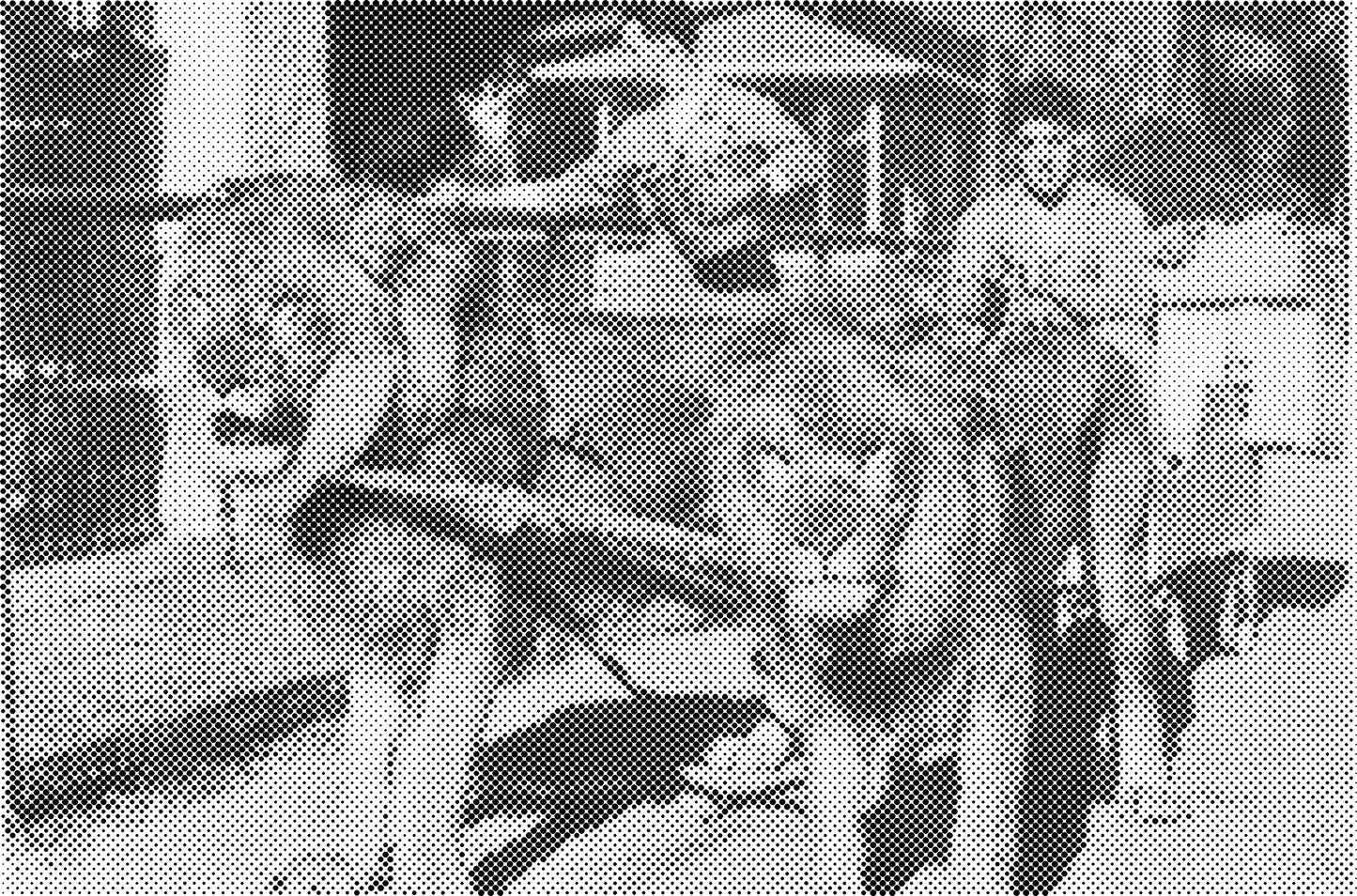 DOT Painting Big Cats - Leeuw, Tijger en Luipaard