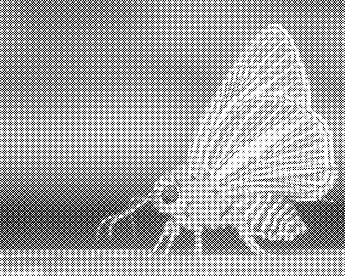 DOT Painting Vlinder - Magical Insects