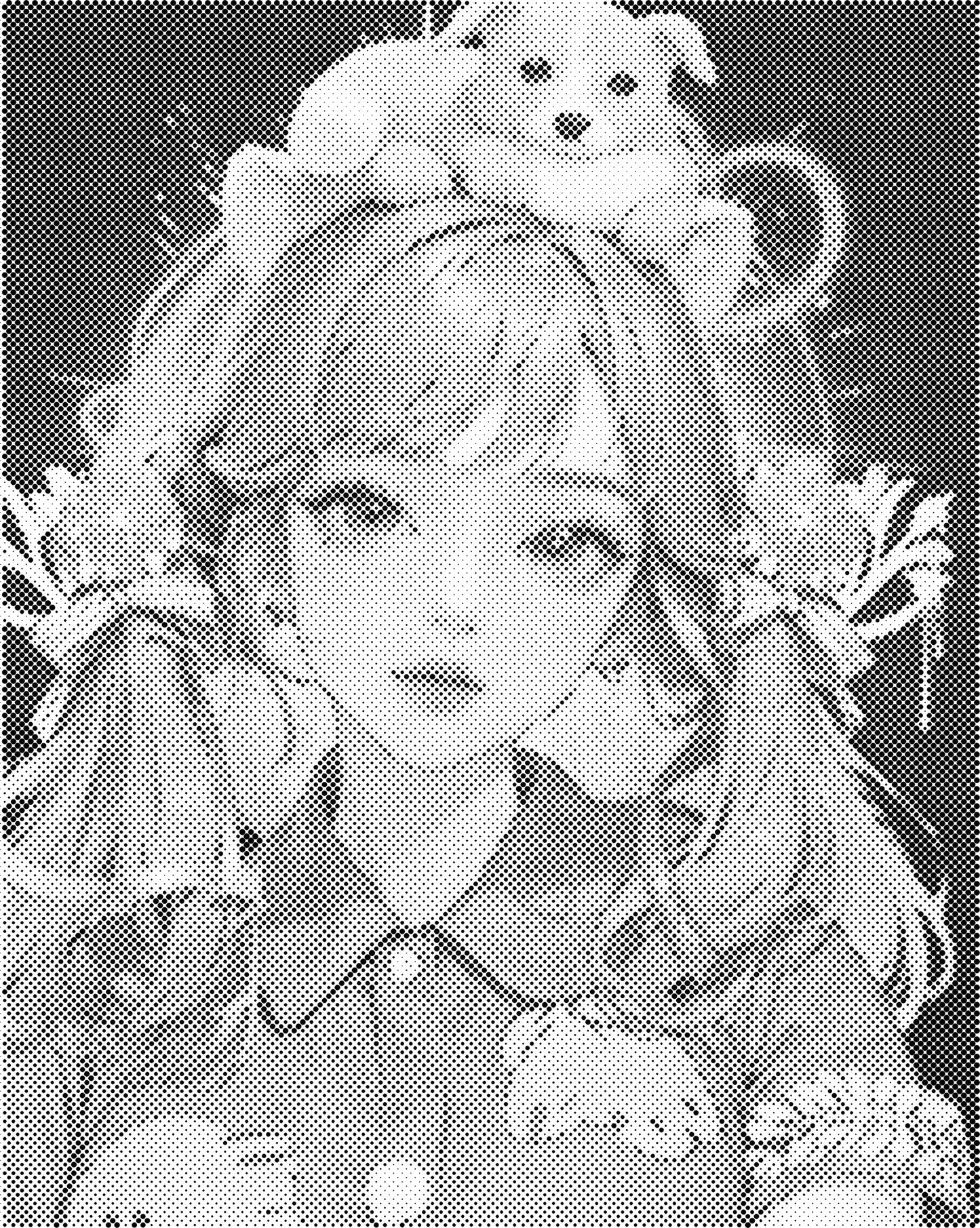 DOT Painting – Vrouwen | 40x50cm of 60x75cm