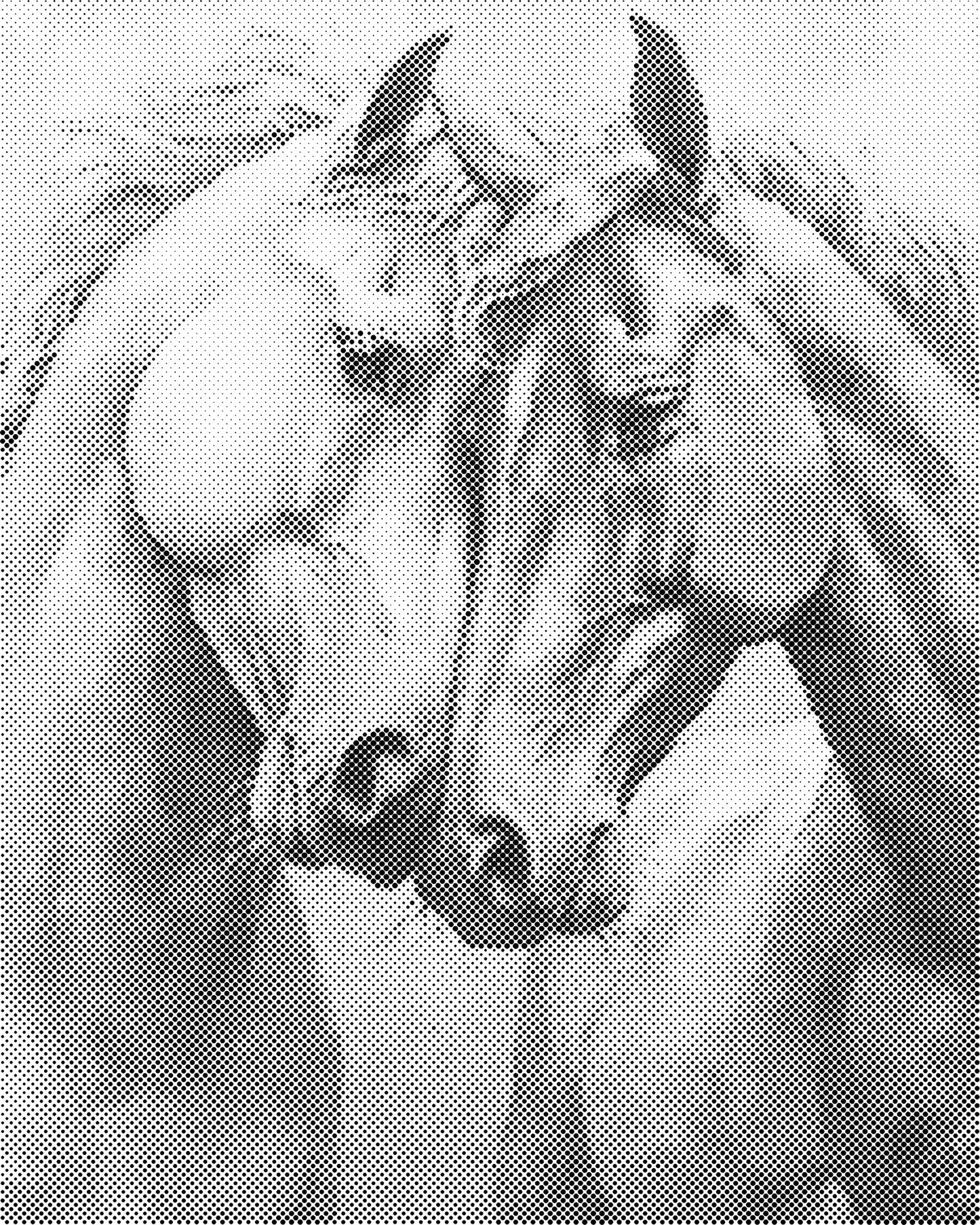 DOT Painting - Dieren op Canvas (40x50cm / 60x75cm)