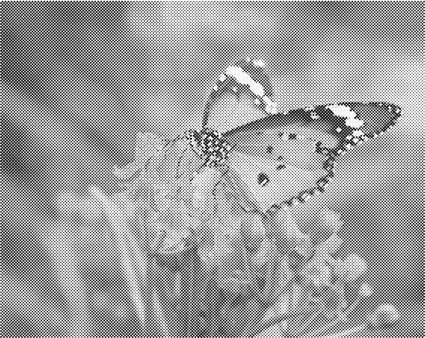 DOT Painting Vlinder - Magical Insects