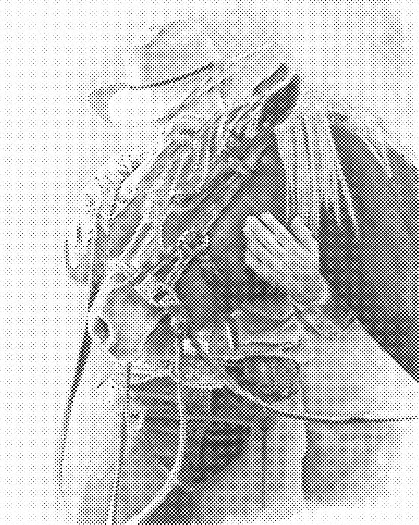 DOT Painting – Vrouwen | 40x50cm of 60x75cm