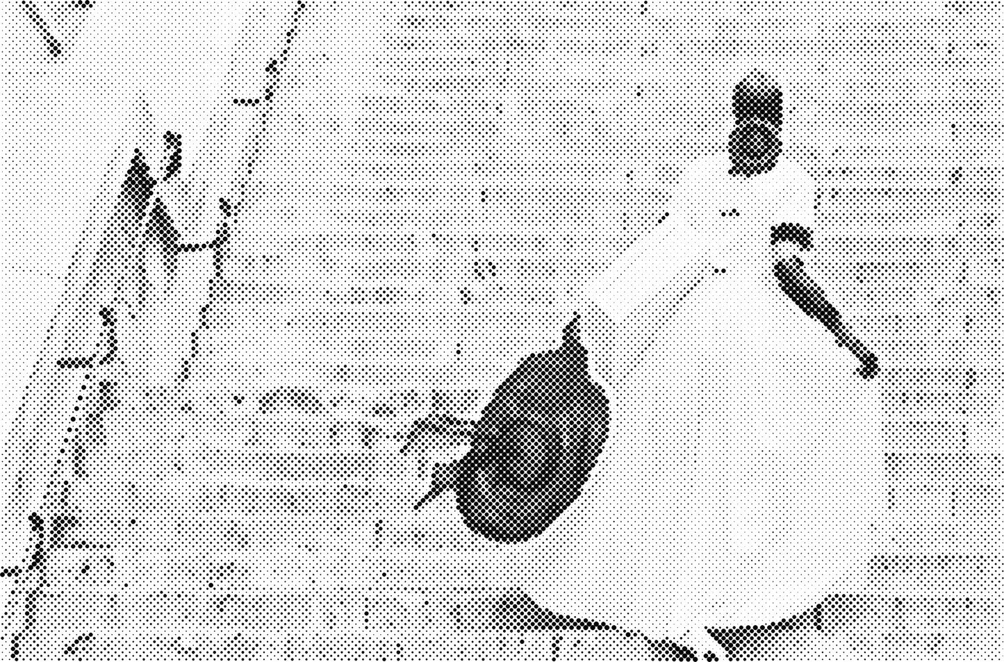 DOT Painting Portretten - Canvas (40x60cm, 50x75cm, 60x90cm)