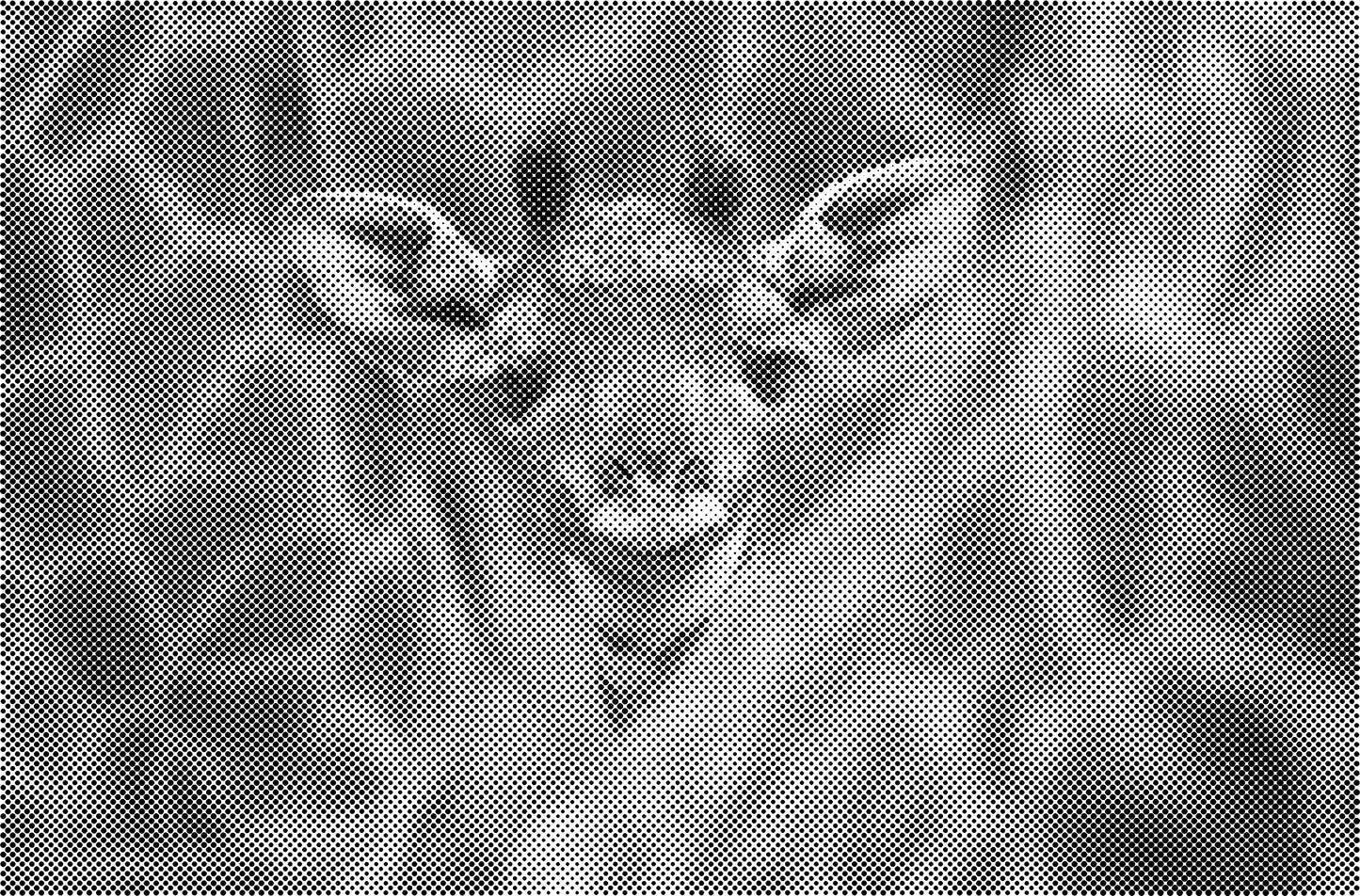 DOT Painting Dieren - (Paarden, Giraf, Vogels) - Verkrijgbaar in 40x60cm, 50x75cm, 60x90cm