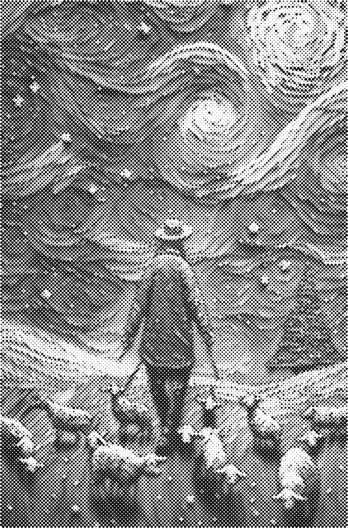 DOT Painting Landschappen en Gebouwen – Voorbedrukt Canvas (40x60cm, 50x75cm, 60x90cm)