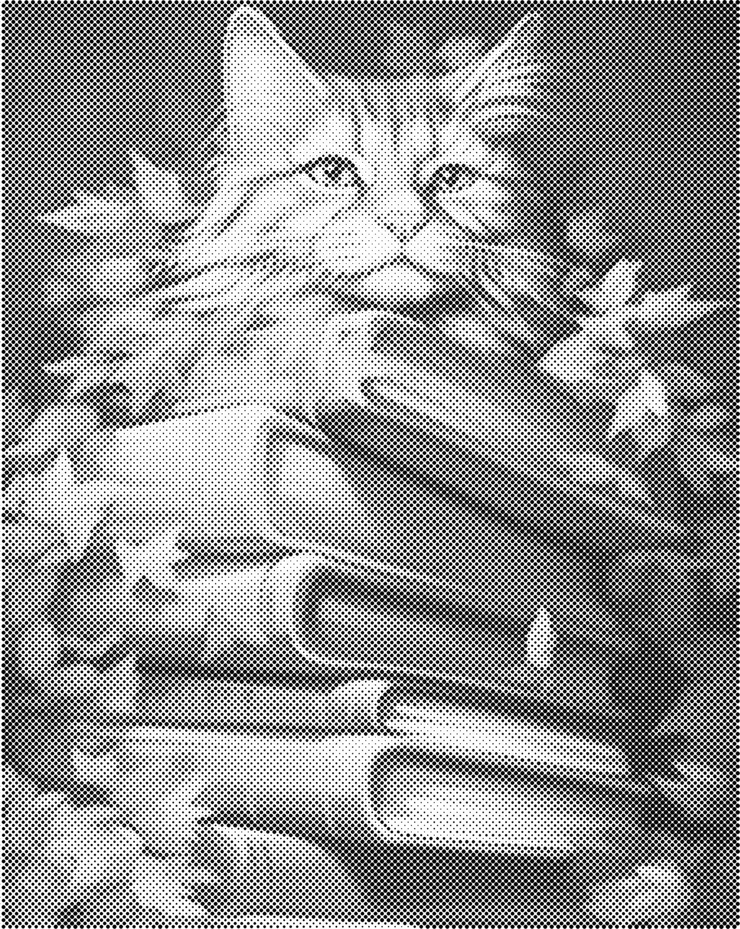 DOT Painting - Dieren op Canvas (40x50cm / 60x75cm)