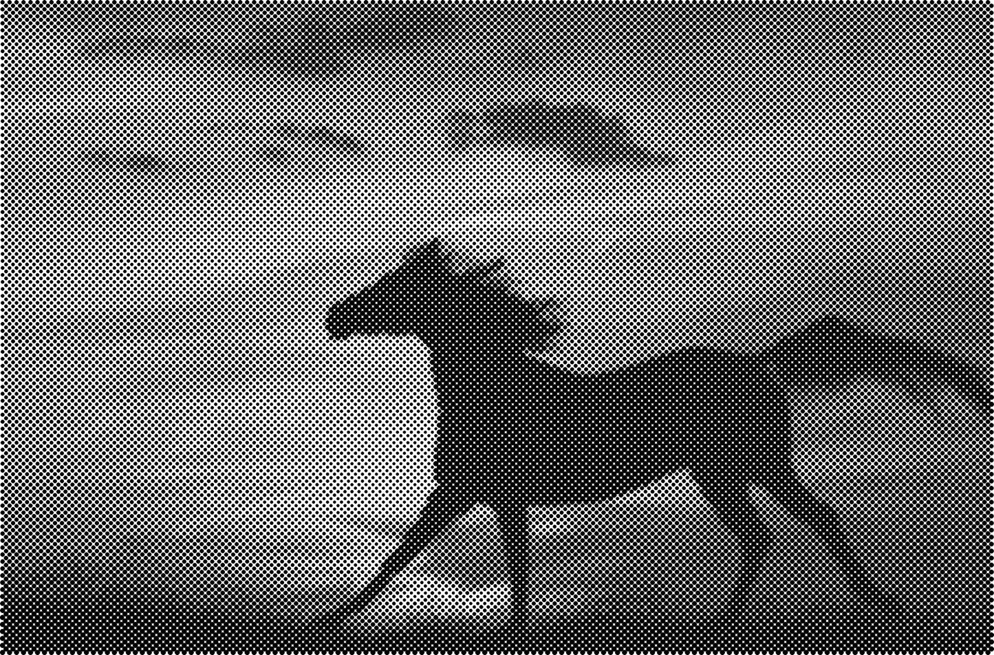 DOT Painting Dieren - (Paarden, Giraf, Vogels) - Verkrijgbaar in 40x60cm, 50x75cm, 60x90cm