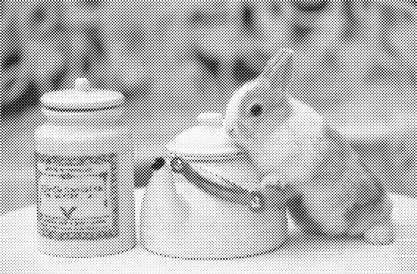 DOT Painting Dieren - Konijnen, Puppies en Katten - Verkrijgbaar in 40x60cm, 50x75cm en 60x90cm