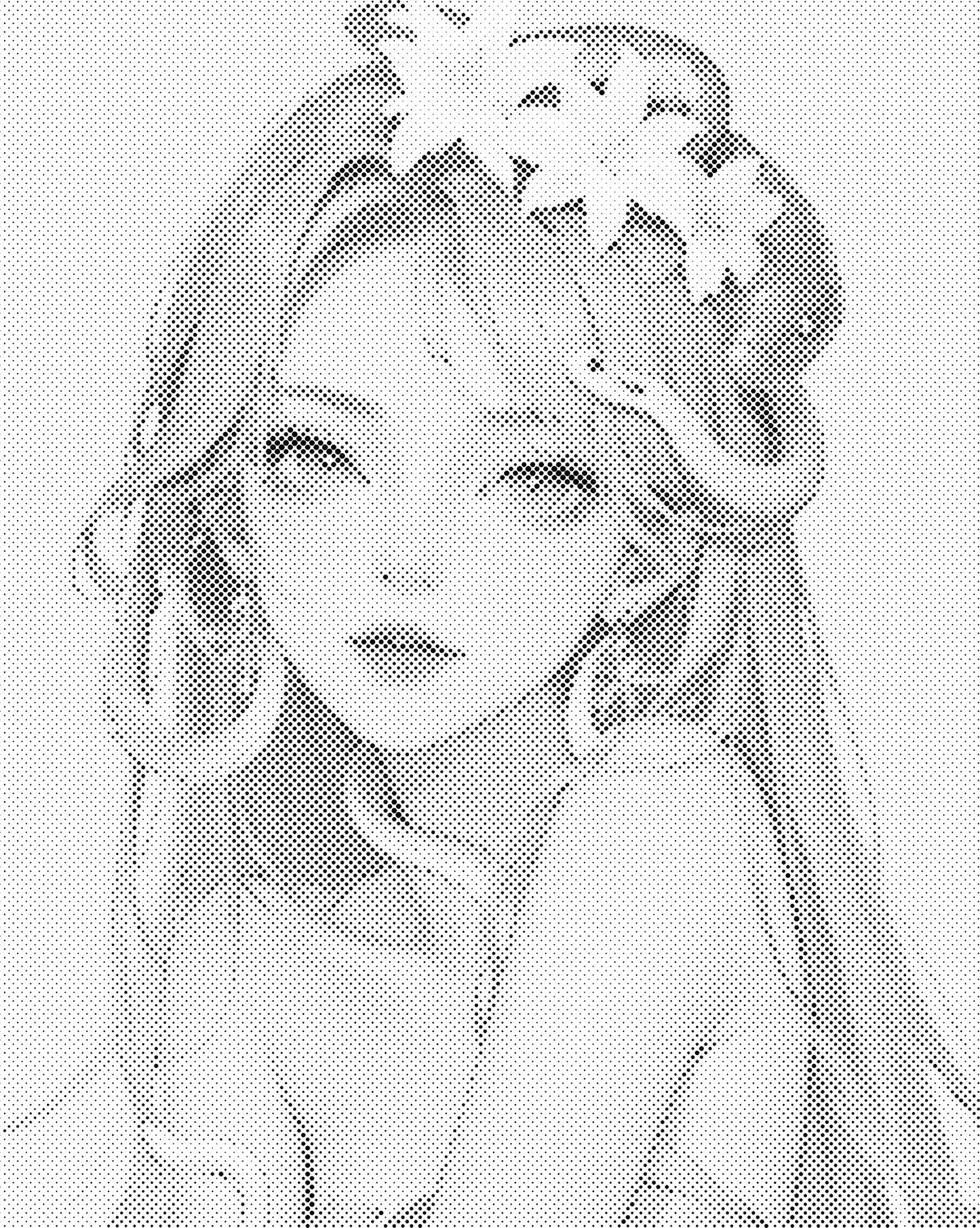 DOT Painting – Vrouwen | 40x50cm of 60x75cm