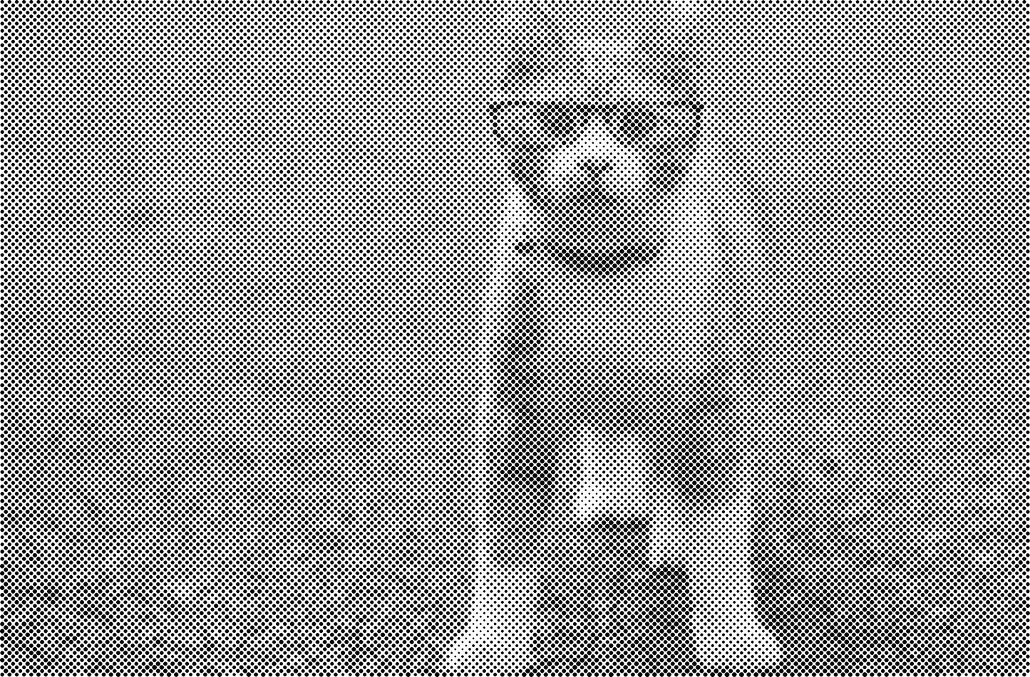 DOT Painting Kattenrassen