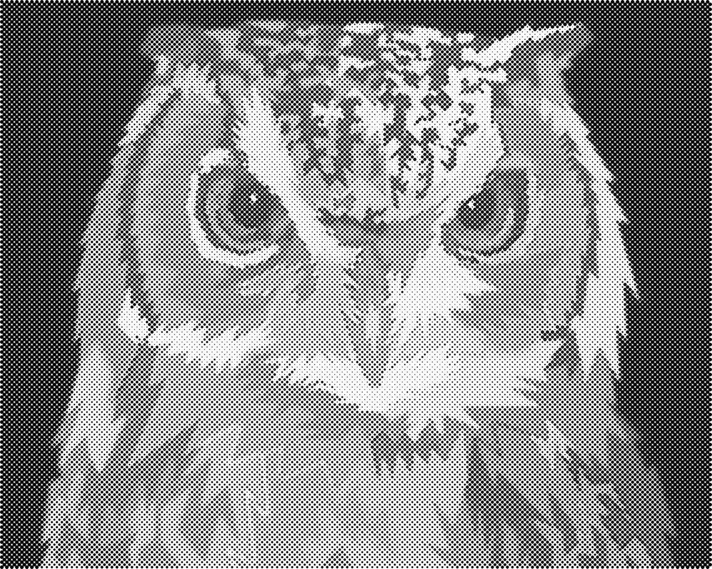 DOT Painting - Dieren op Canvas (40x50cm / 60x75cm)