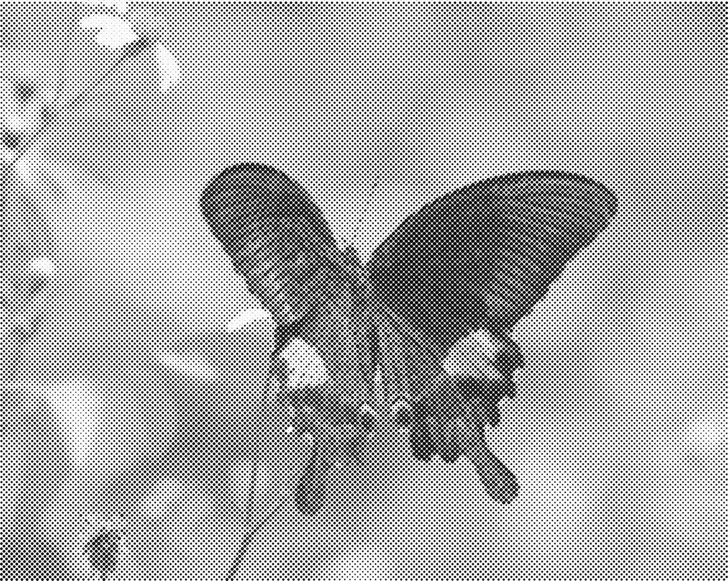 DOT Painting Vlinder - Magical Insects