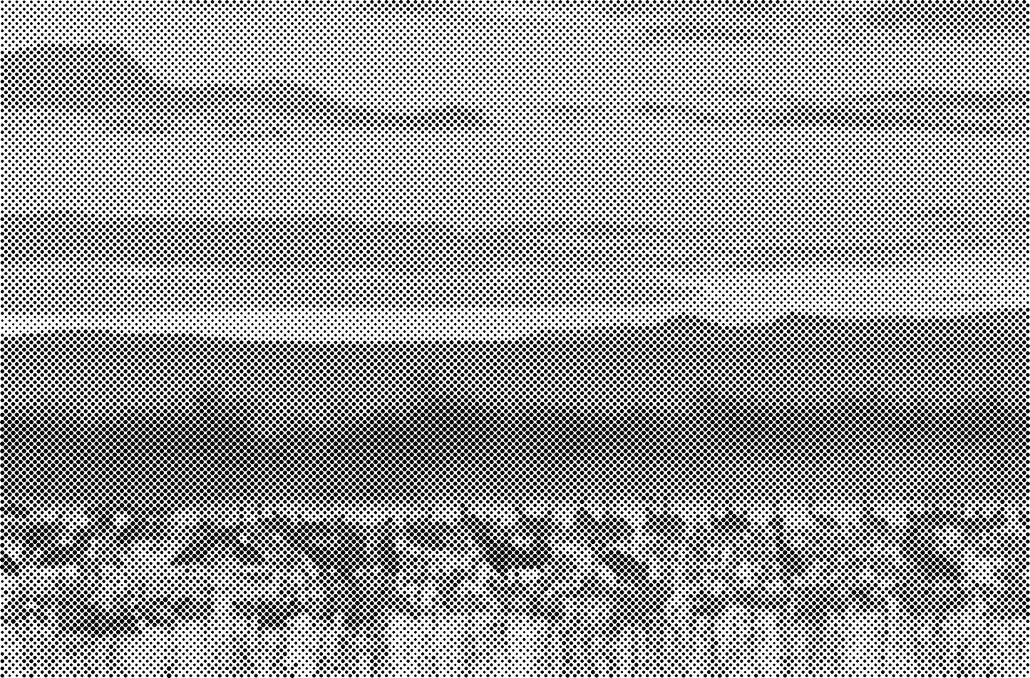 DOT Painting Big Cats - Leeuw, Tijger en Luipaard