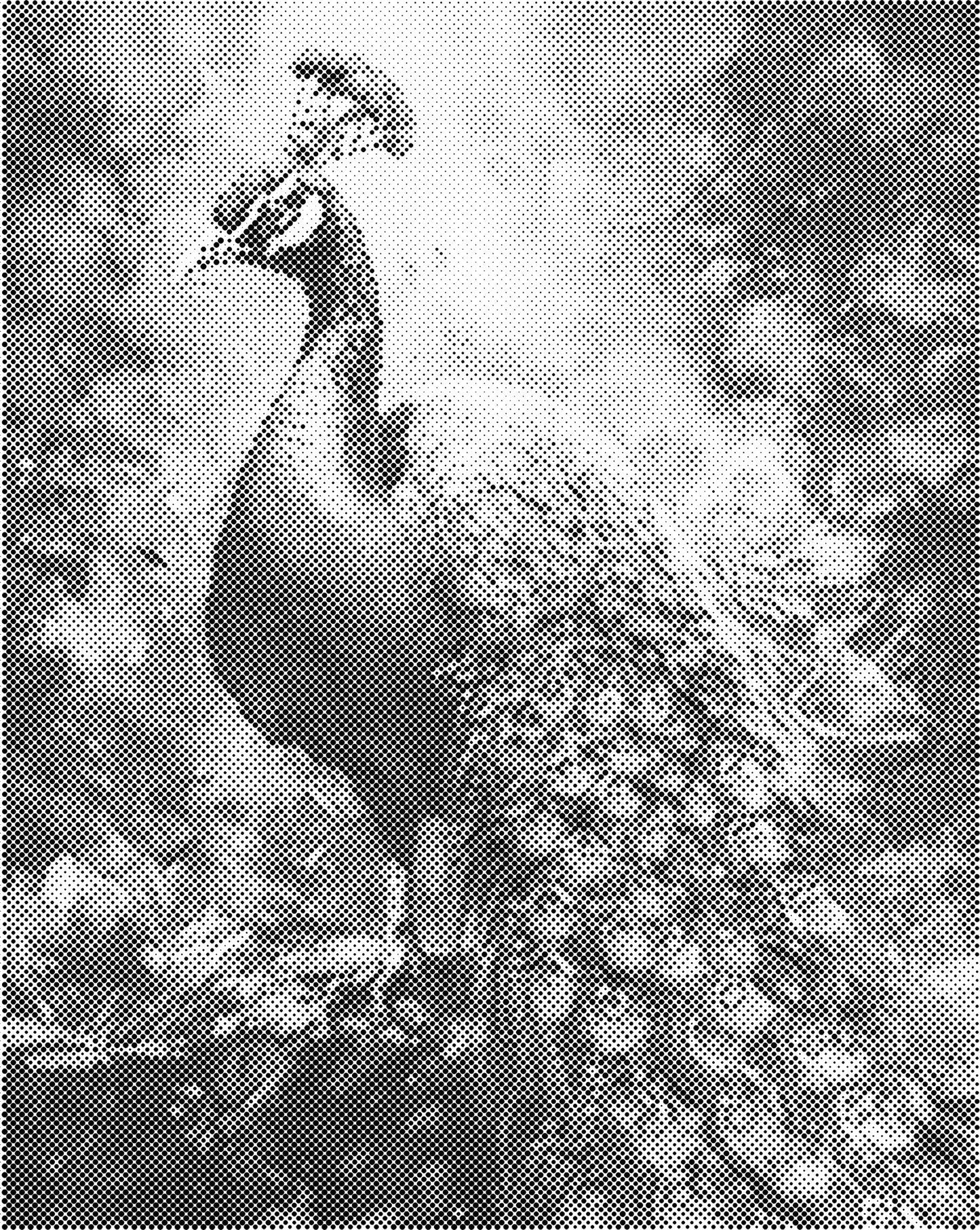 DOT Painting – Dieren op Canvas (40x50cm of 60x75cm) – Met of zonder stiften