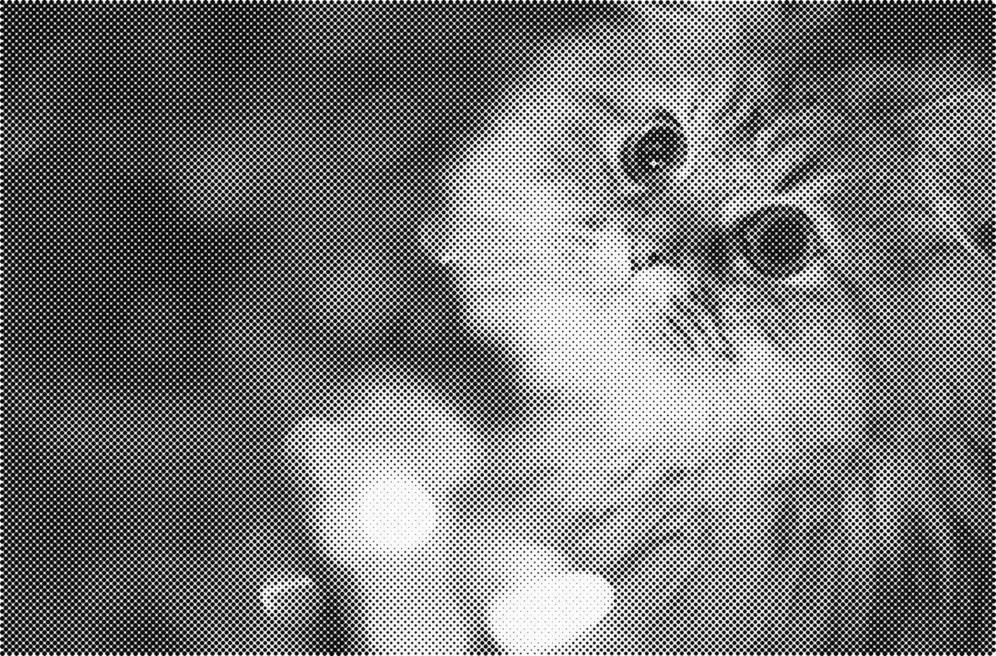 DOT Painting Kattenrassen