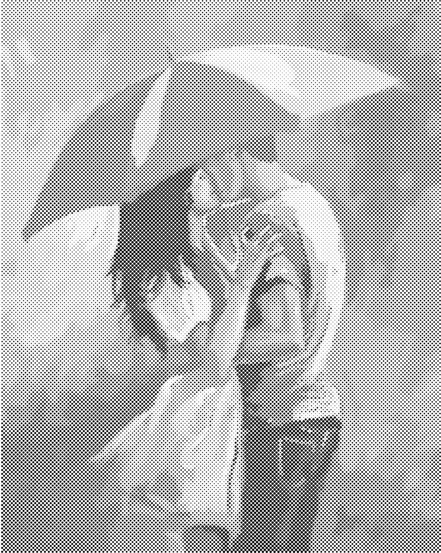 DOT Painting – Vrouwen | 40x50cm of 60x75cm