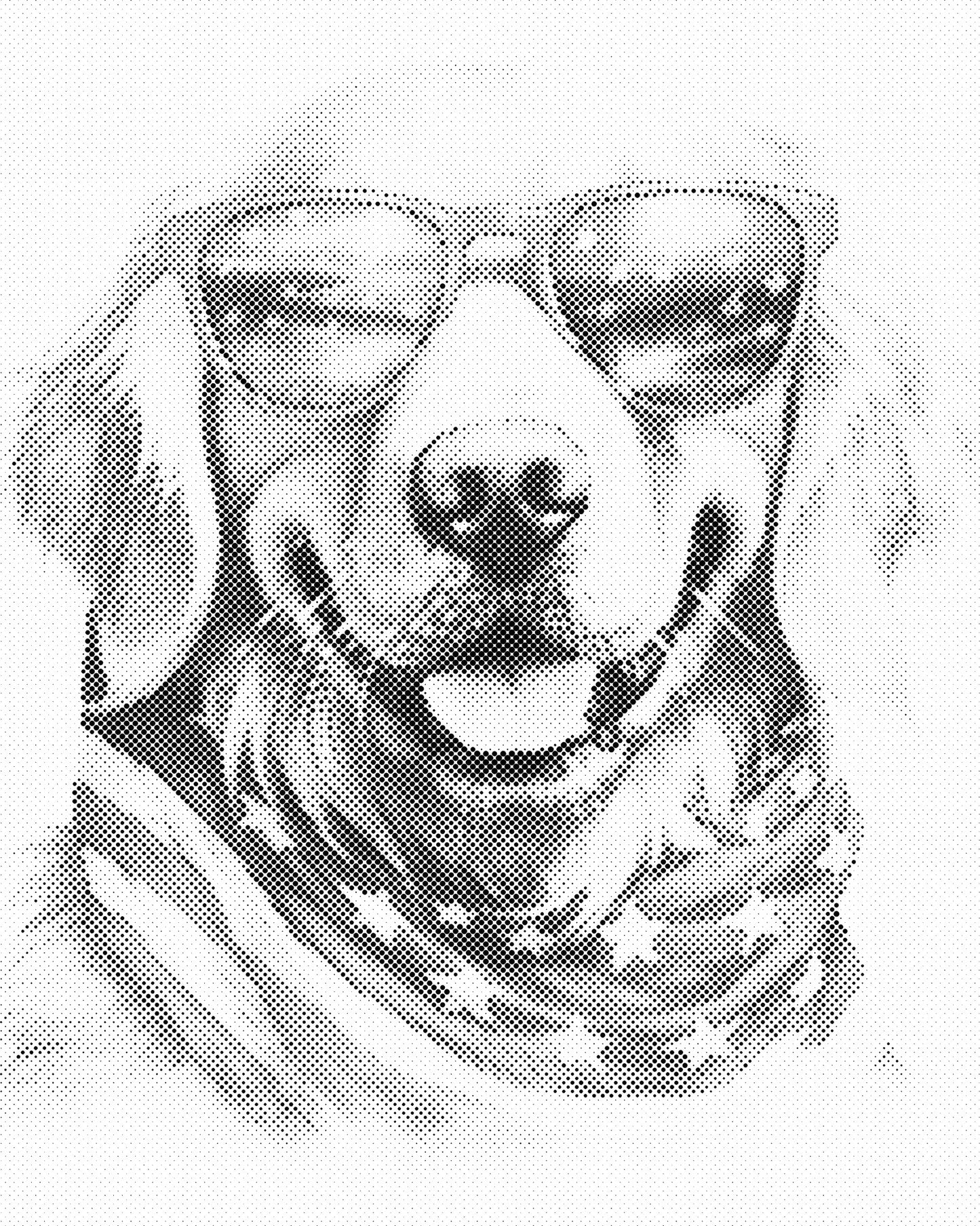 DOT Painting - Dieren op Canvas (40x50cm / 60x75cm)