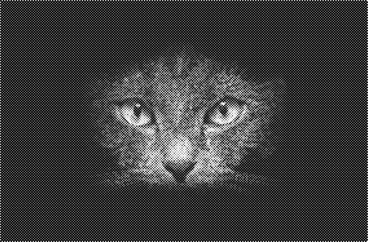 DOT Painting Dieren - Katten en Vogels