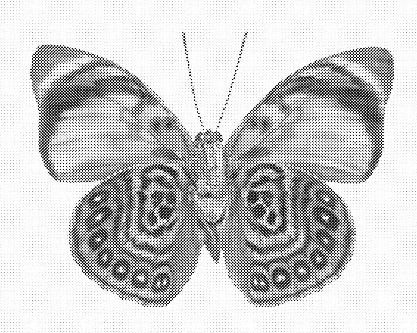 DOT Painting Vlinder - Magical Insects