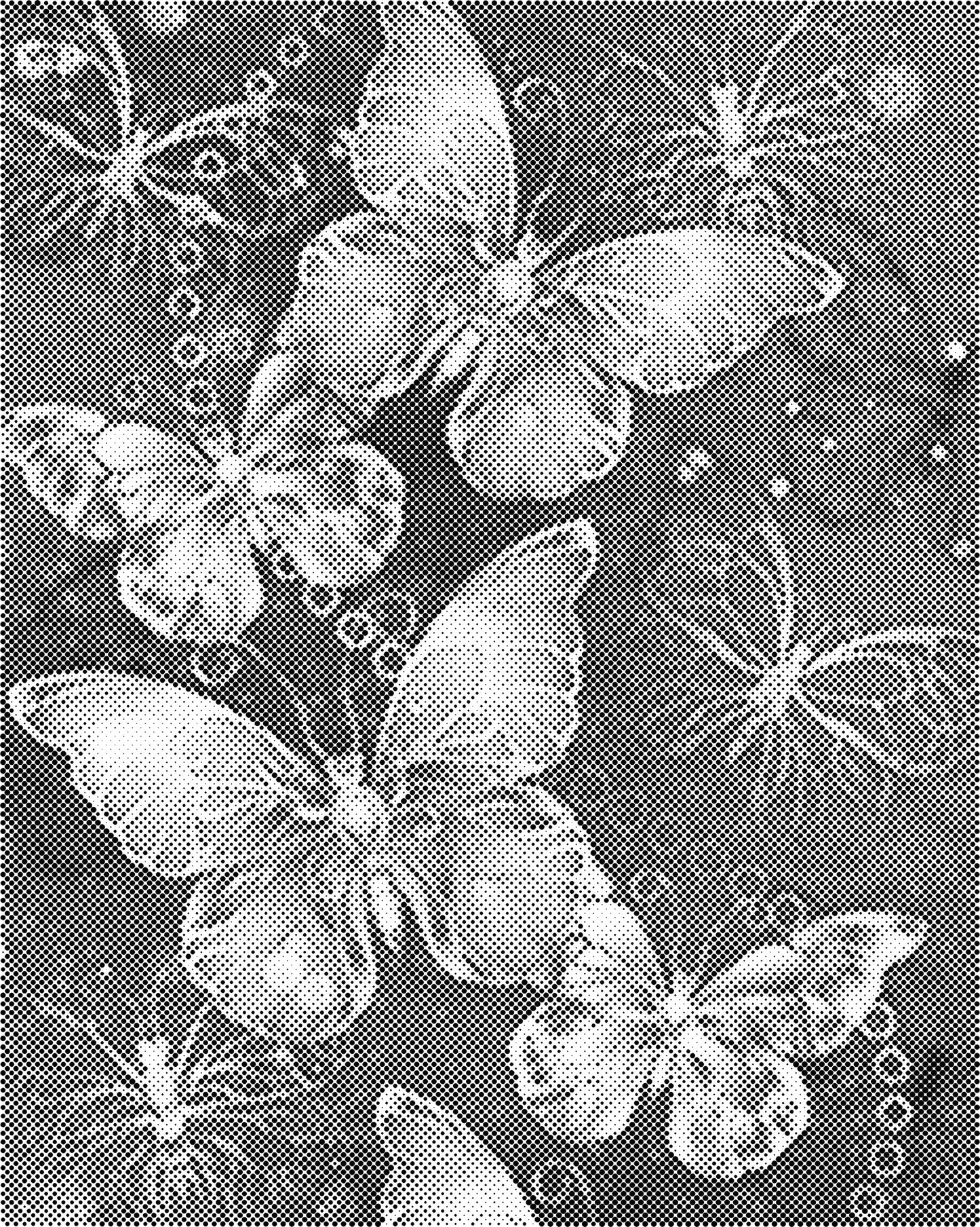 DOT Painting 40x50cm Magical Butterflies - Eén Kleur Stippelkunst