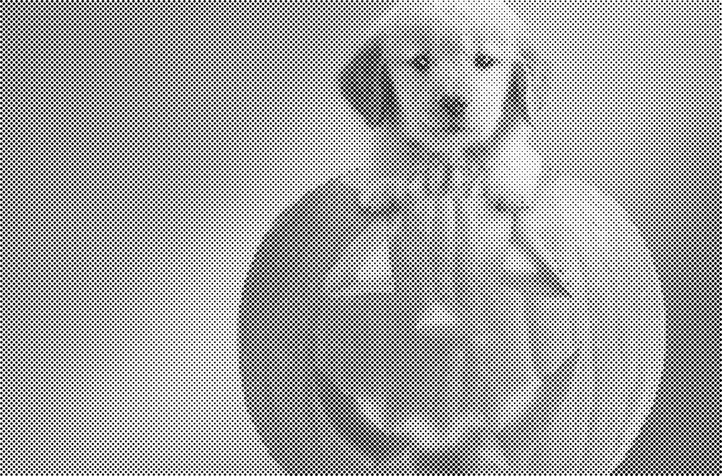 DOT Painting - Wolven en Honden