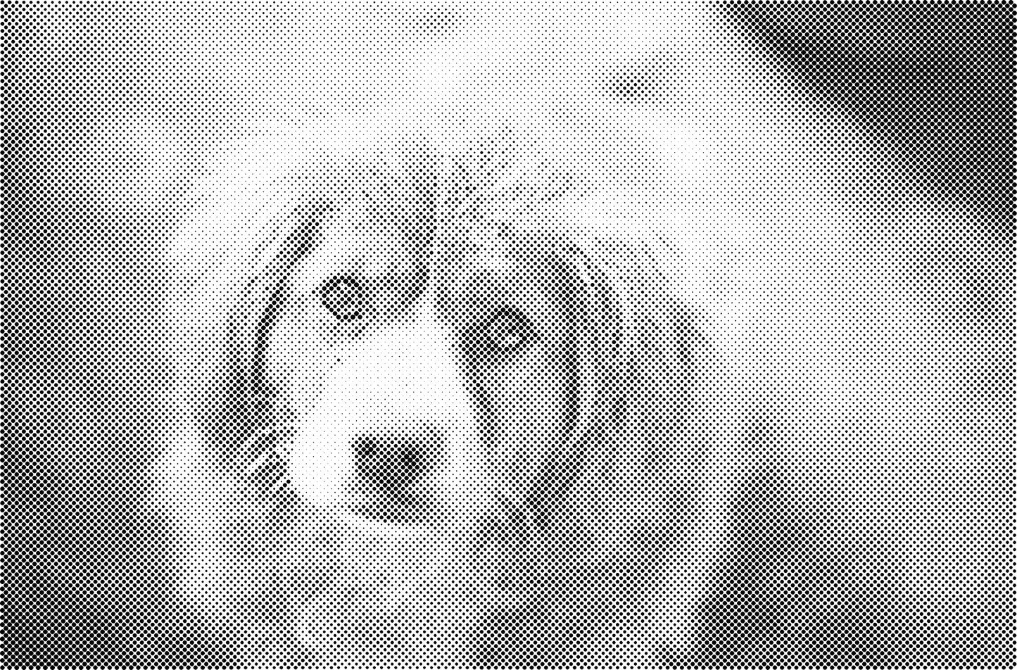 DOT Painting Honden, Eenden en Vogels - Verkrijgbaar in 40x60cm, 50x75cm, en 60x90cm