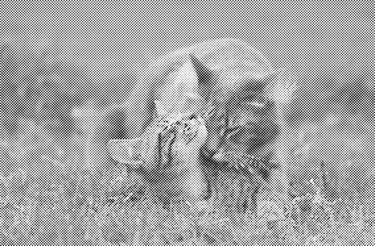 DOT Painting Katten - Verkrijgbaar in 40x60cm, 50x75cm en 60x90cm