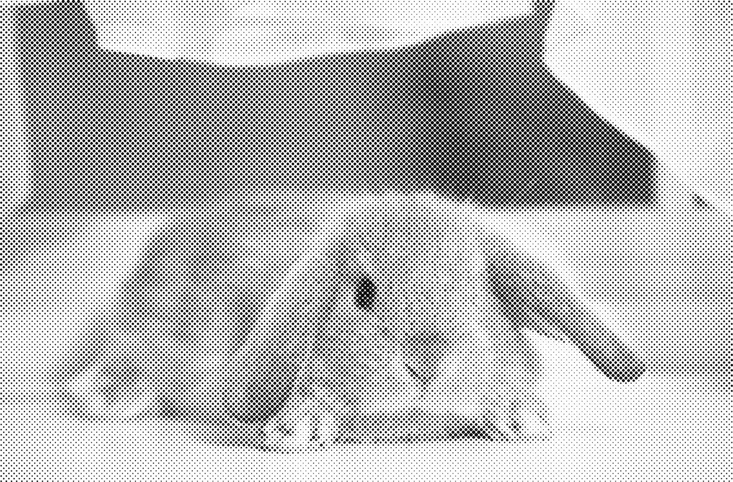 DOT Painting Dieren - Konijnen, Puppies en Katten - Verkrijgbaar in 40x60cm, 50x75cm en 60x90cm