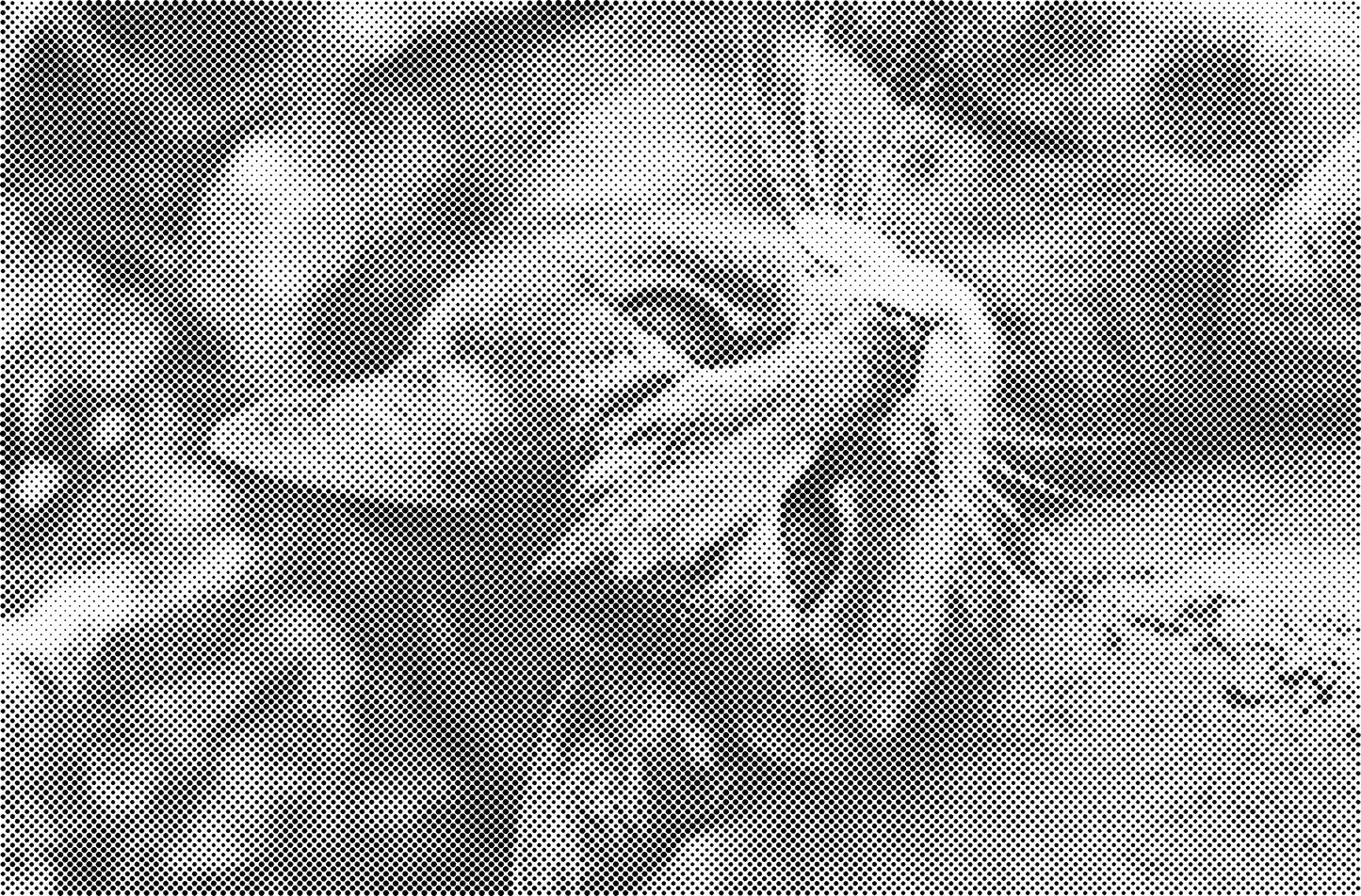 DOT Painting Dieren - Katten en Vogels