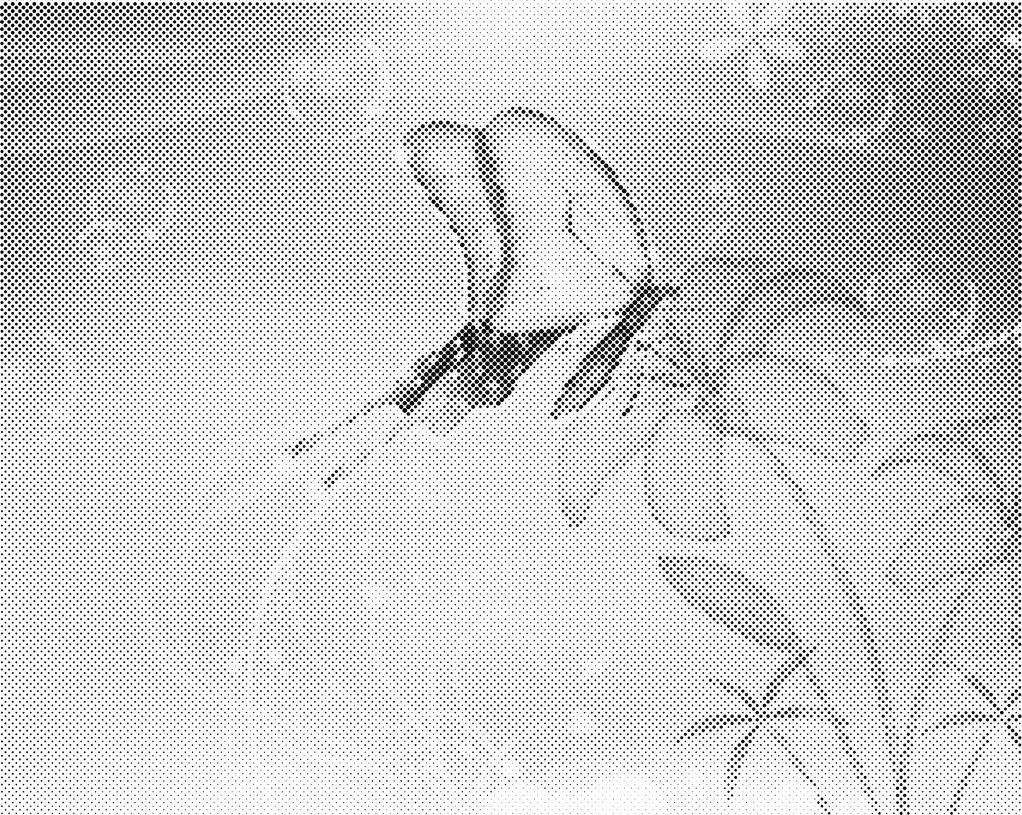 DOT Painting Vlinder - Magical Insects