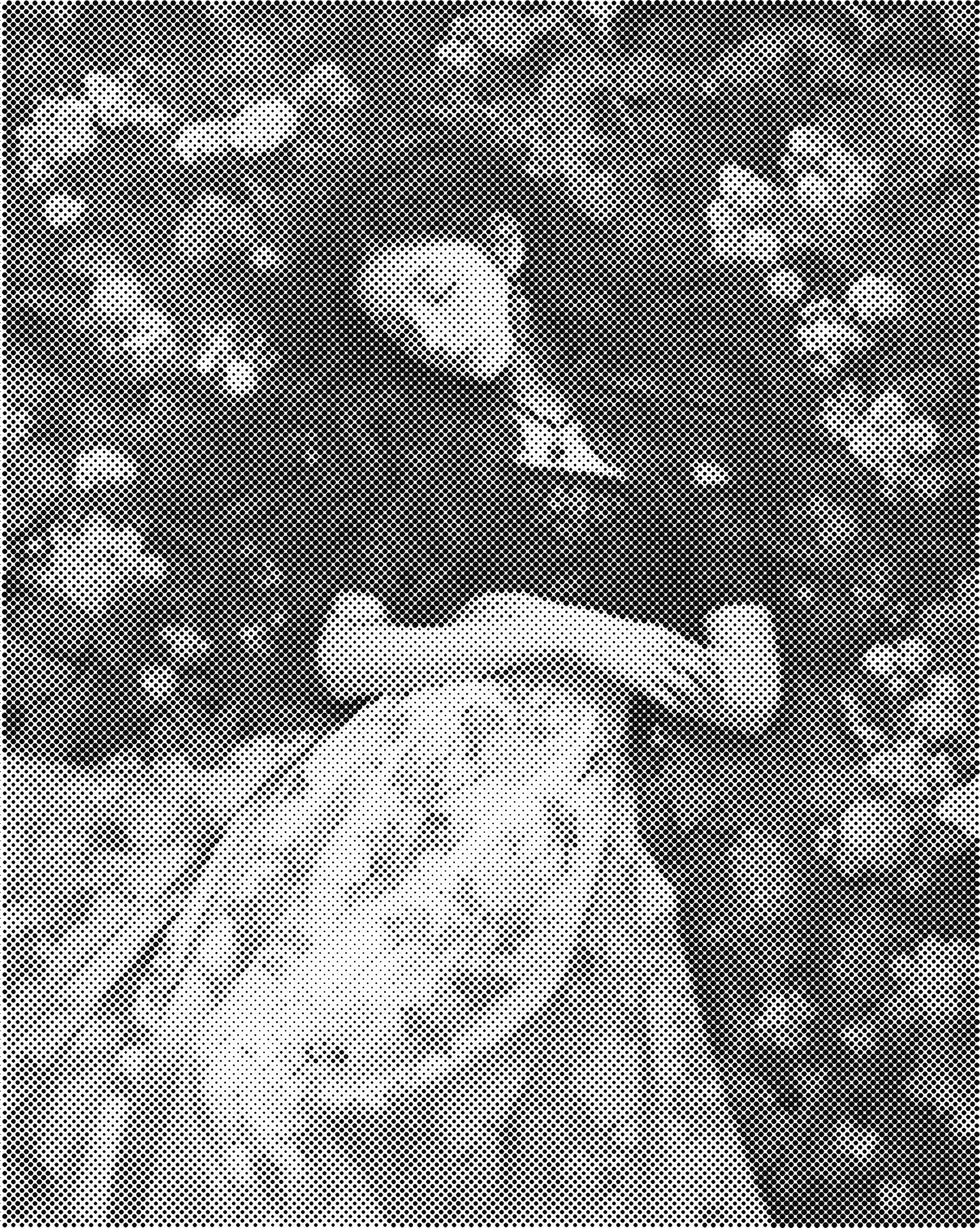 DOT Painting – Vrouwen | 40x50cm of 60x75cm