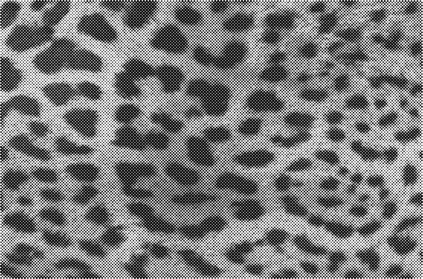 DOT Painting Big Cats - Leeuw, Tijger en Luipaard