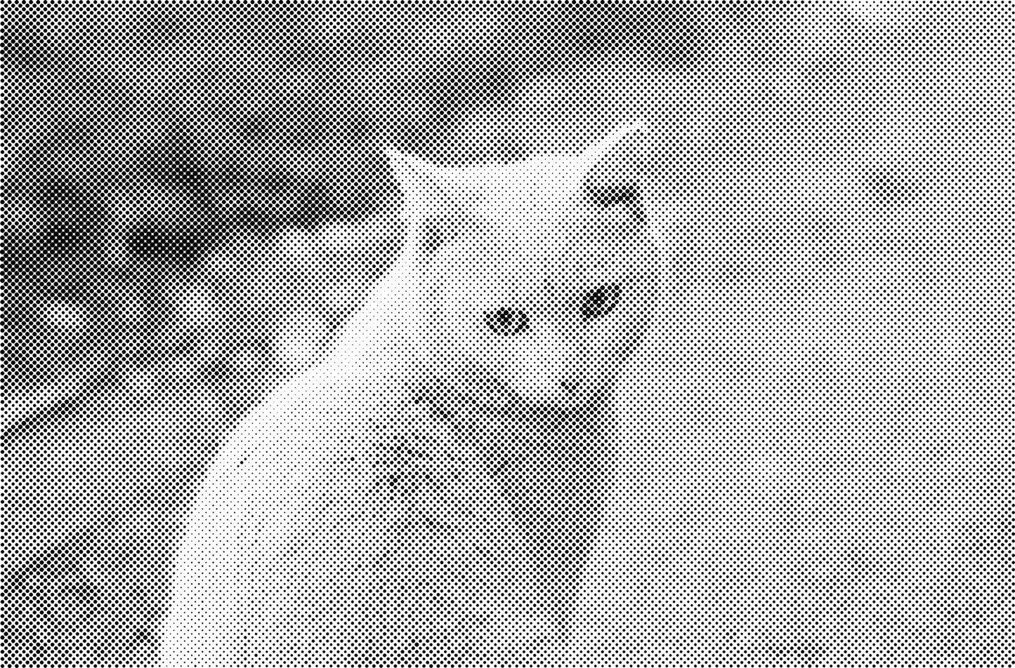 DOT Painting Katten - Verkrijgbaar in 40x60cm, 50x75cm en 60x90cm