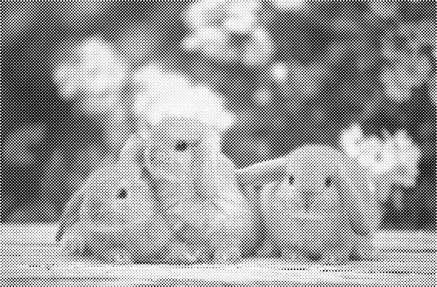 DOT Painting Dieren - Konijnen, Puppies en Katten - Verkrijgbaar in 40x60cm, 50x75cm en 60x90cm